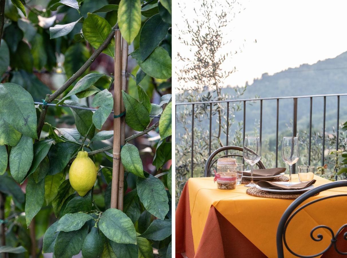 Casetta Di Butia, Glicine Apartment Borgo a Mozzano Eksteriør bilde