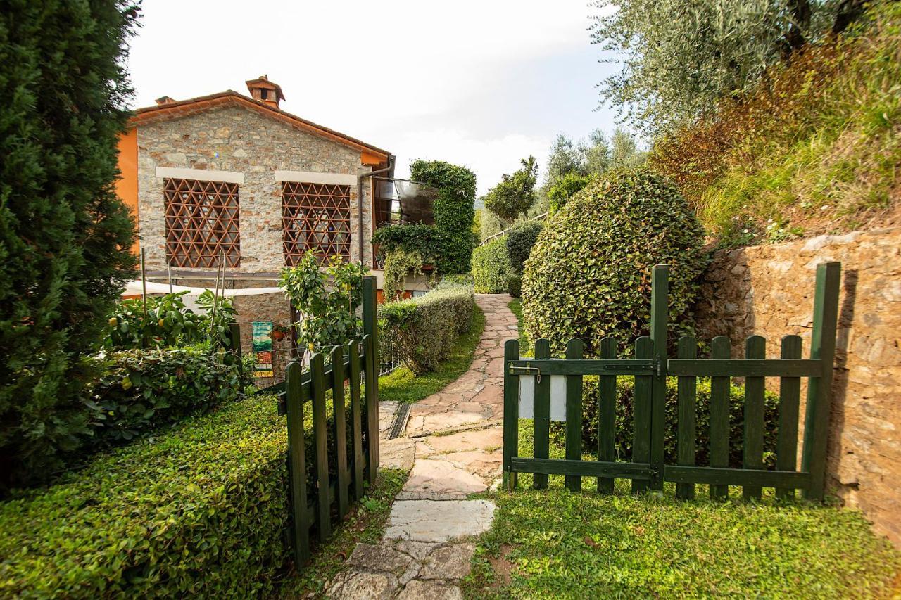 Casetta Di Butia, Glicine Apartment Borgo a Mozzano Eksteriør bilde