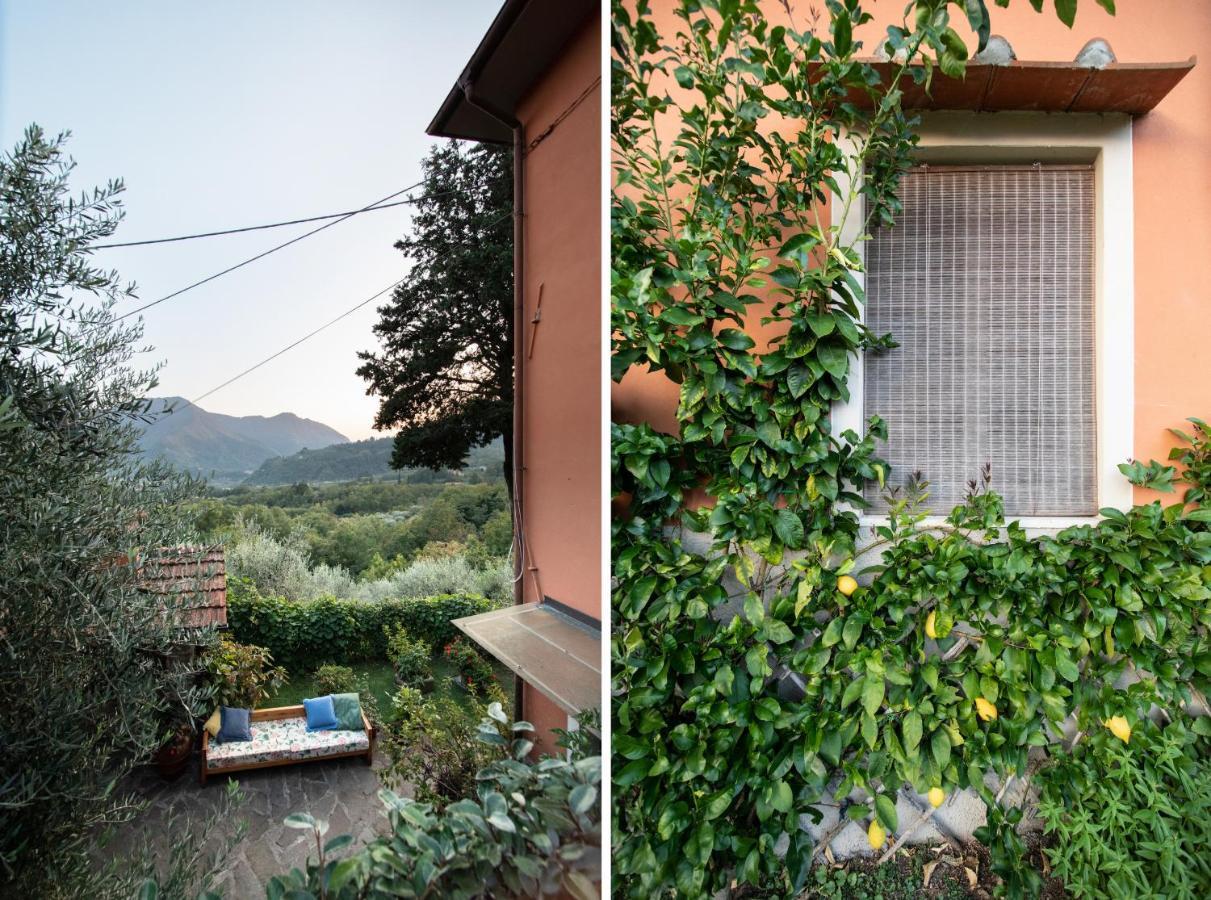 Casetta Di Butia, Glicine Apartment Borgo a Mozzano Eksteriør bilde